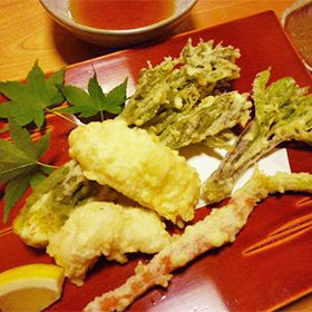 王様の次は 山菜の女王様 こしあぶら 小料理一久 鹿児島市の日本料理