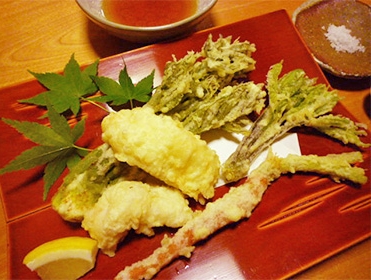 ~ 山菜の女王様、天然こしあぶら! ~