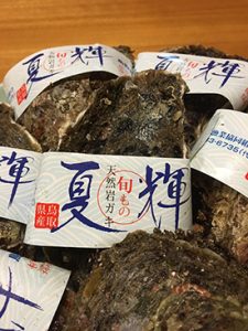 ~夏輝が届きはじめました! ~